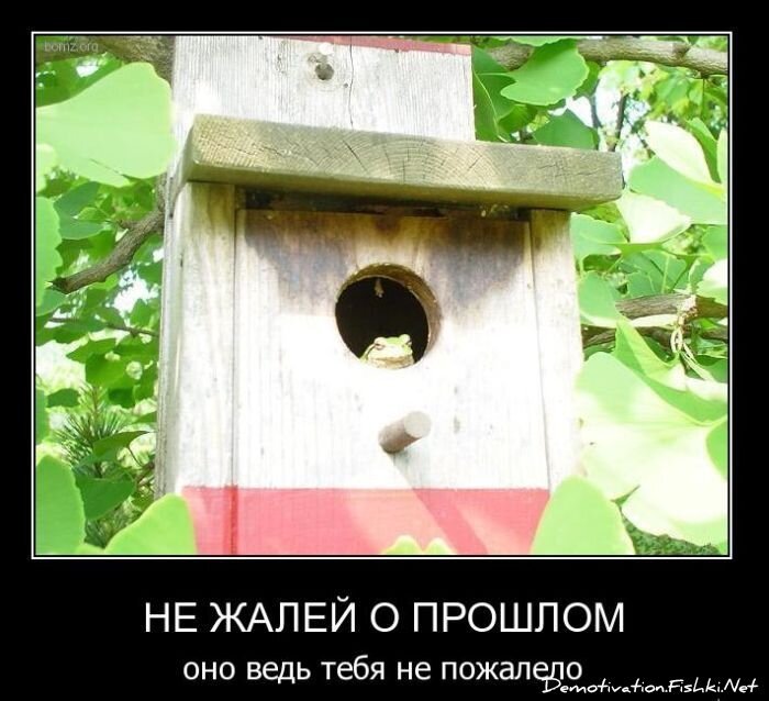 Смешной демотиватор от zubrilov за 11.02.2011 №68287