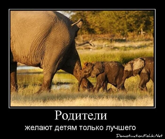 Смешной демотиватор от zubrilov за 11.02.2011 №68292