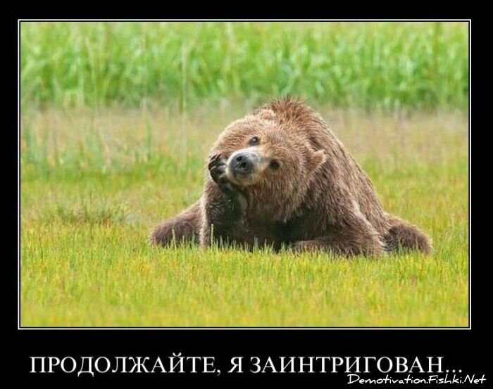 Смешной демотиватор от zubrilov за 11.02.2011 №68301