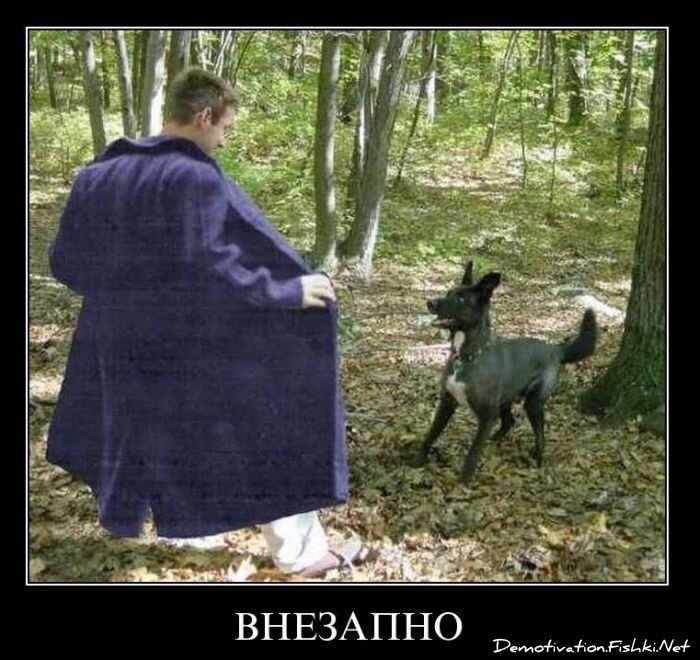 Смешной демотиватор от zubrilov за 11.02.2011 №68302