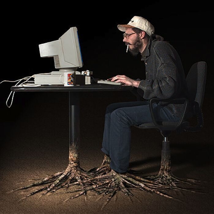 Фотография