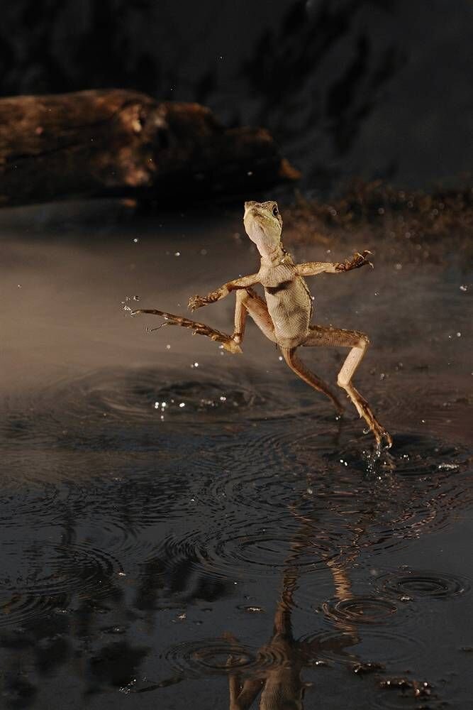 Прикольные фото и картинки от zubrilov за 16.02.2011 №68557