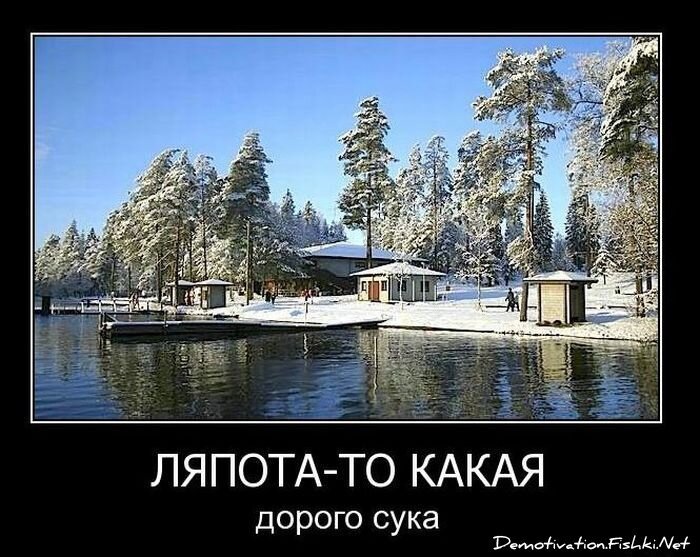 Смешной демотиватор от zubrilov за 16.02.2011 №68782