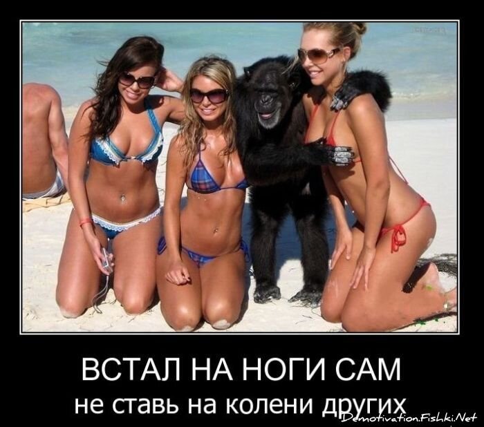 Смешной демотиватор от zubrilov за 16.02.2011 №68785