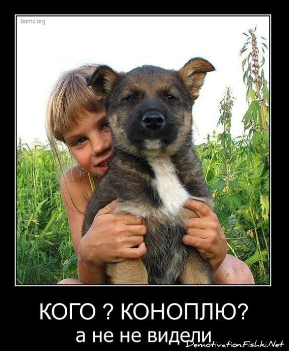 Смешной демотиватор от zubrilov за 16.02.2011 №68790