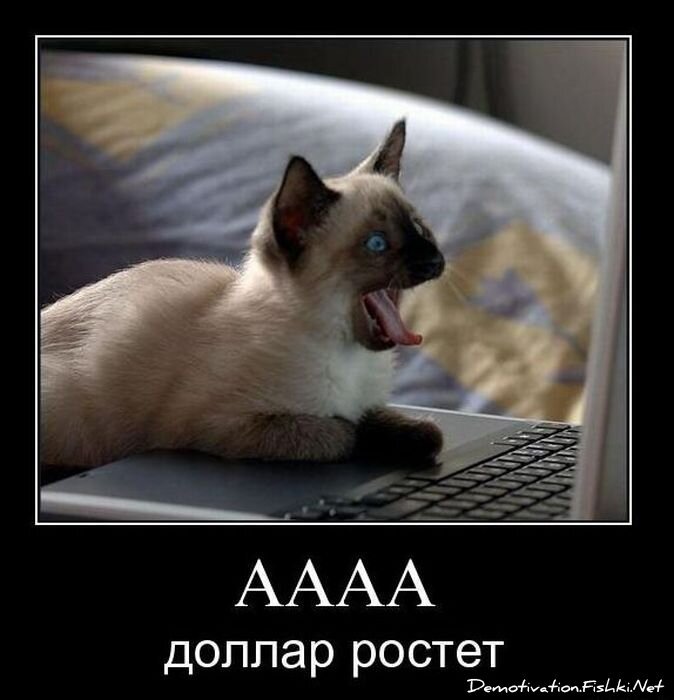 Смешной демотиватор от zubrilov за 16.02.2011 №68791