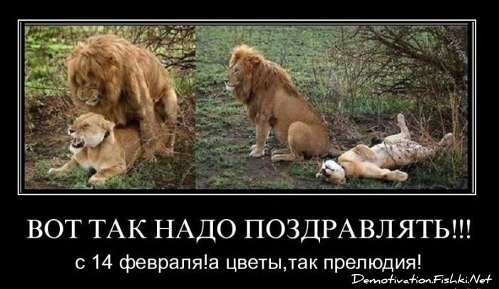 Смешной демотиватор от zubrilov за 16.02.2011 №68792