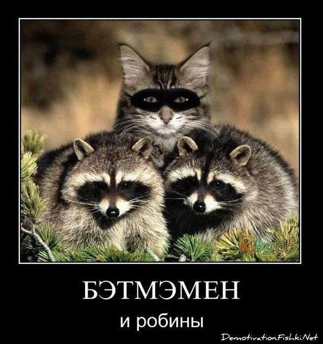Смешной демотиватор от zubrilov за 16.02.2011 №68795
