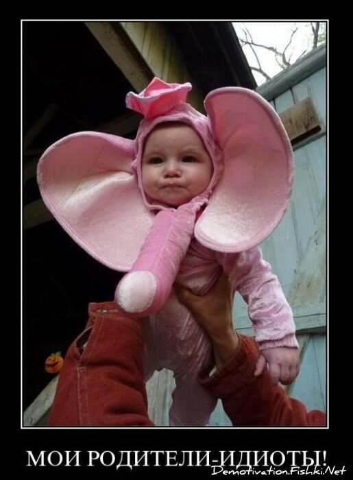 Смешной демотиватор от zubrilov за 16.02.2011 №68801