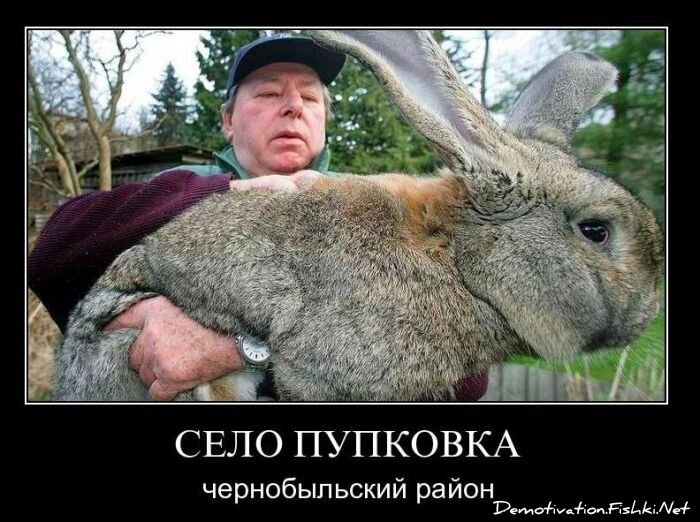 Смешной демотиватор от zubrilov за 16.02.2011 №68805
