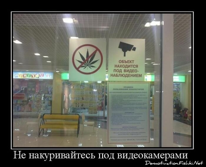 Смешной демотиватор от zubrilov за 16.02.2011 №68816