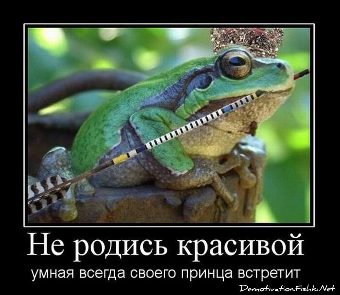 Смешной демотиватор от zubrilov за 16.02.2011 №68824