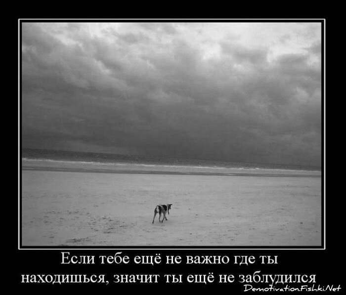 Смешной демотиватор от zubrilov за 16.02.2011 №68829