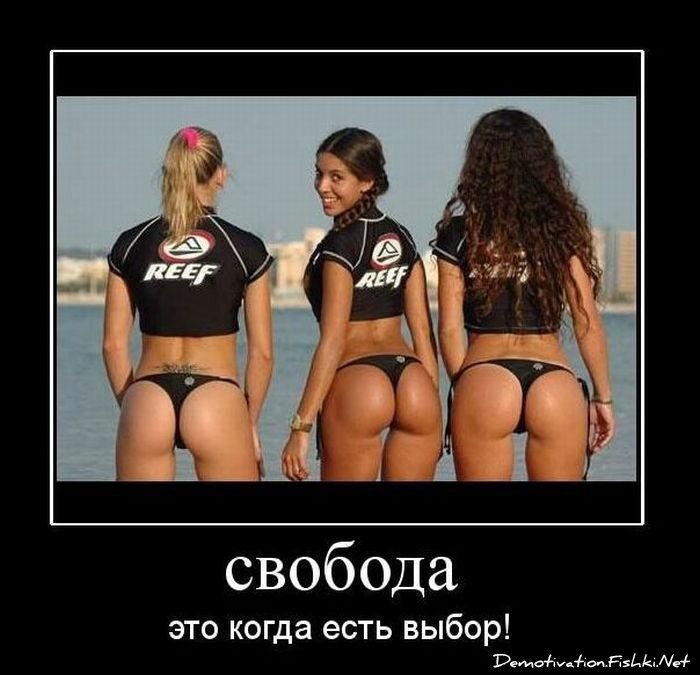 Смешной демотиватор от zubrilov за 16.02.2011 №68832