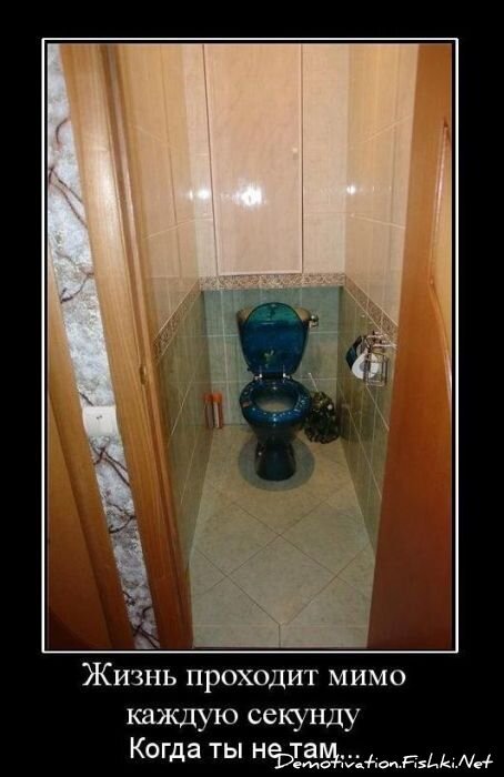 Смешной демотиватор от zubrilov за 16.02.2011 №68834