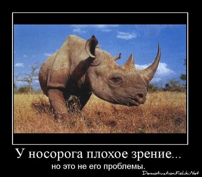 Смешной демотиватор от zubrilov за 16.02.2011 №68836