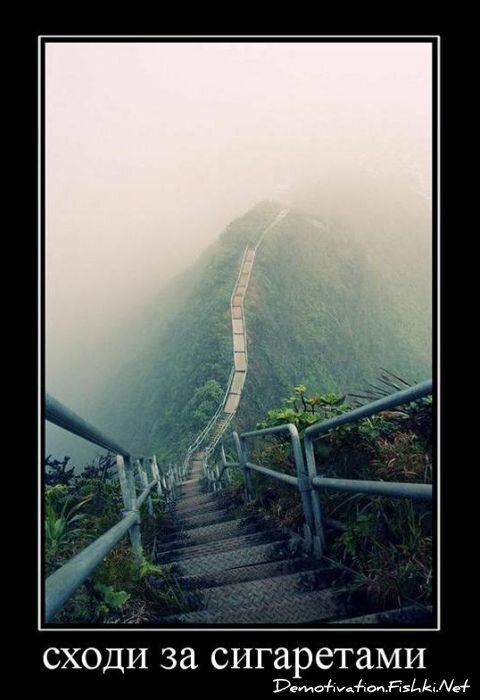 Смешной демотиватор от zubrilov за 16.02.2011 №68857