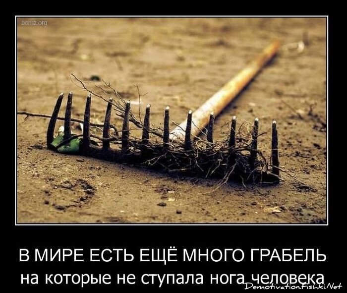 Смешной демотиватор от zubrilov за 16.02.2011 №68865