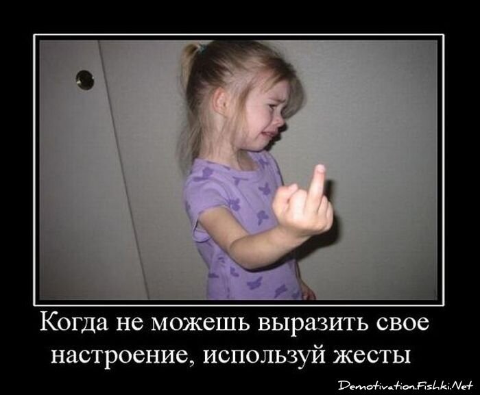 Смешной демотиватор от zubrilov за 16.02.2011 №68872