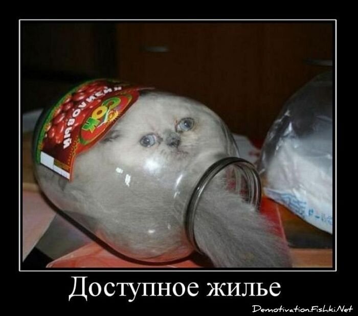 Смешной демотиватор от zubrilov за 16.02.2011 №68885