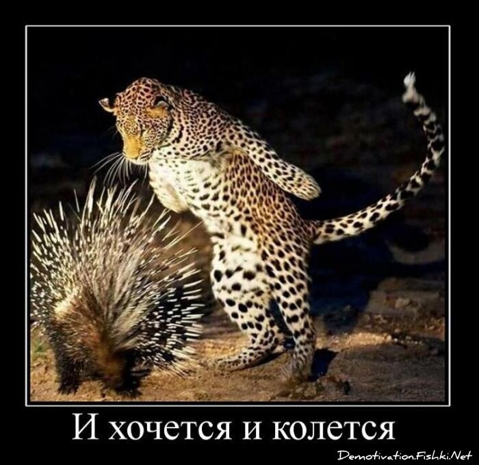 Смешной демотиватор от zubrilov за 16.02.2011 №68888