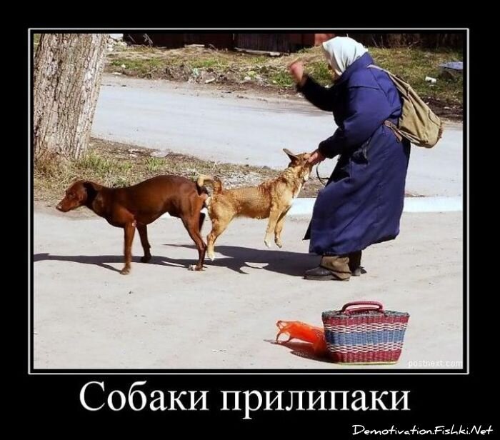 Смешной демотиватор от zubrilov за 16.02.2011 №68891