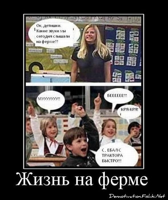 Демотиватор