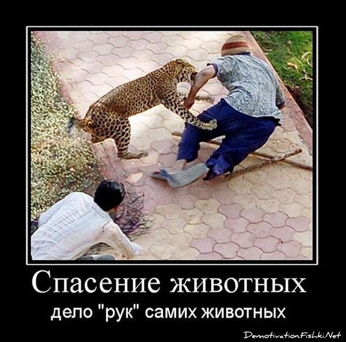 Смешной демотиватор от zubrilov за 16.02.2011 №68895