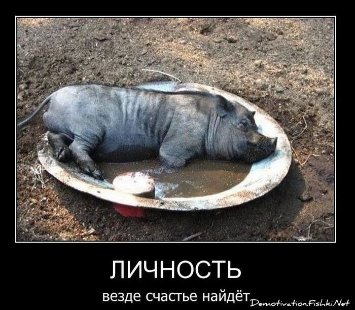 Смешной демотиватор от zubrilov за 18.02.2011 №68912