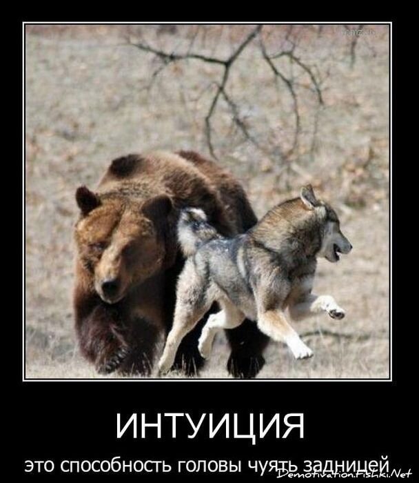 Смешной демотиватор от zubrilov за 18.02.2011 №68913