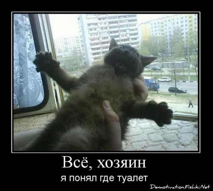 Смешной демотиватор от zubrilov за 18.02.2011 №68917