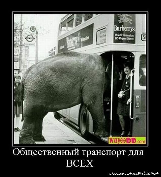 Демотиватор