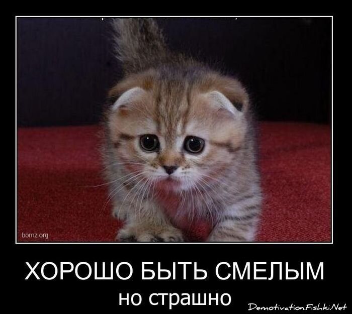 Смешной демотиватор от zubrilov за 18.02.2011 №68929