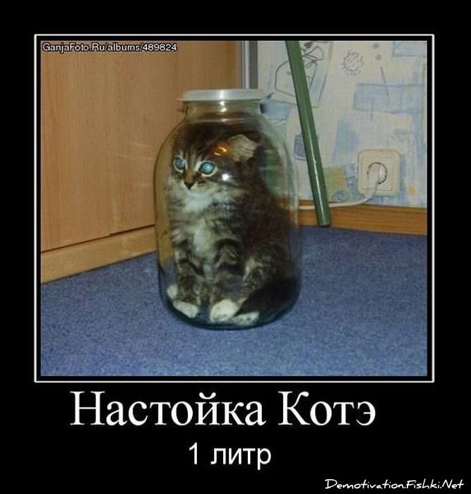 Демотиватор