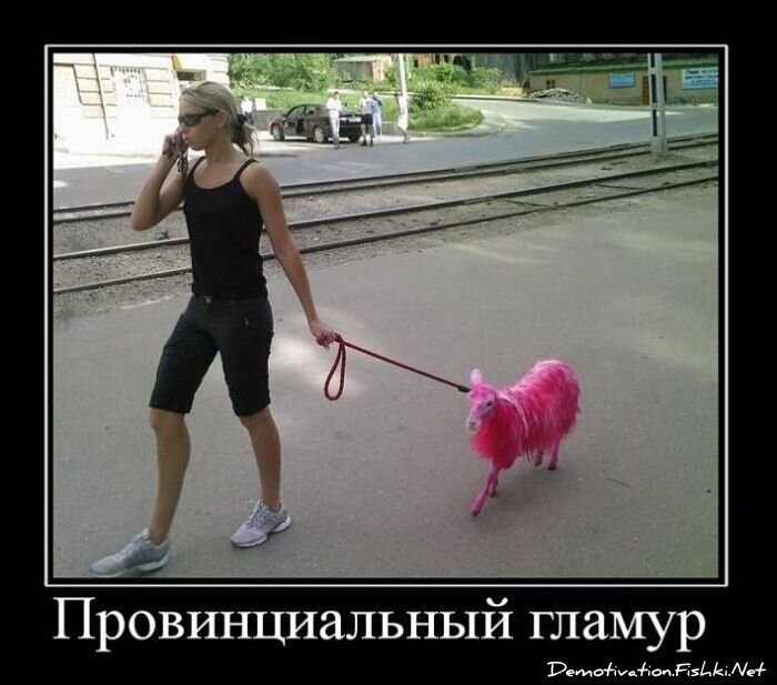 Демотиватор