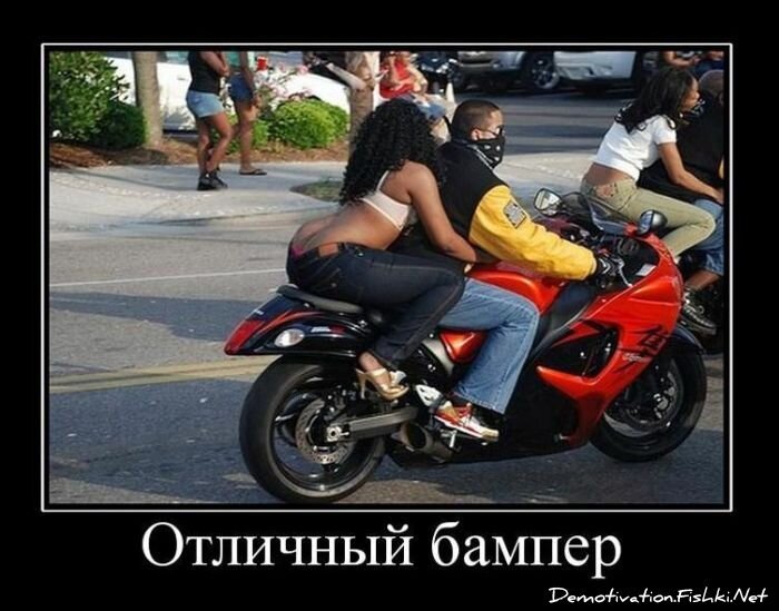 Смешной демотиватор от zubrilov за 18.02.2011 №68941