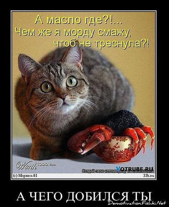 Смешной демотиватор от zubrilov за 18.02.2011 №68952