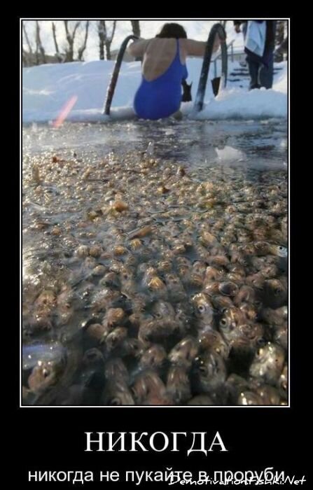 Демотиватор