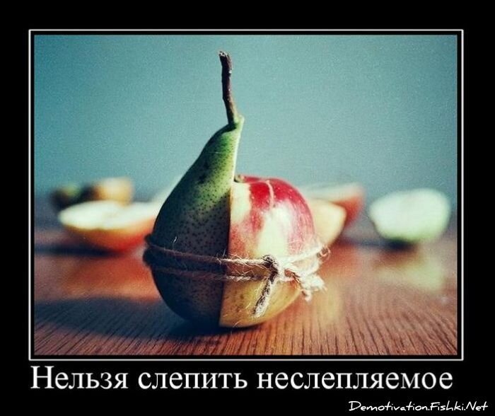 Демотиватор