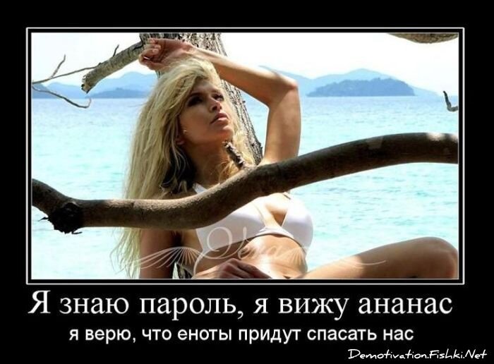 Смешной демотиватор от zubrilov за 18.02.2011 №68977