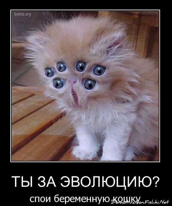 Смешной демотиватор от zubrilov за 22.02.2011 №69352