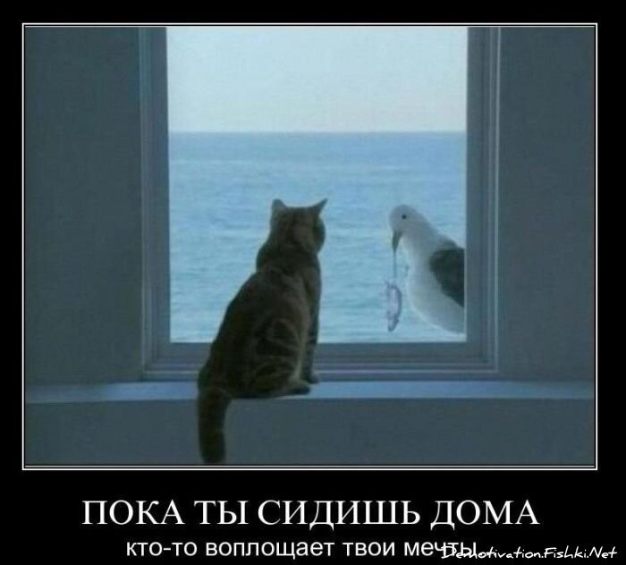 Смешной демотиватор от zubrilov за 22.02.2011 №69360