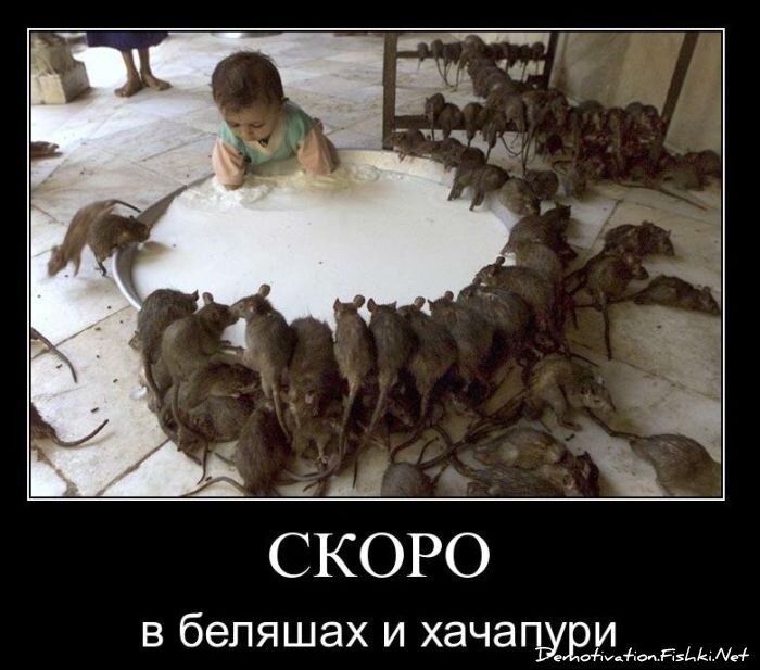 Смешной демотиватор от zubrilov за 22.02.2011 №69366