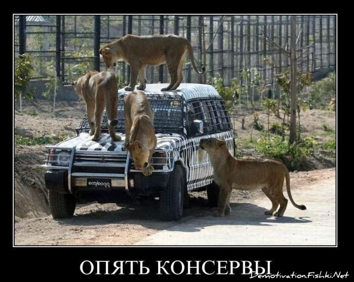 Демотиватор