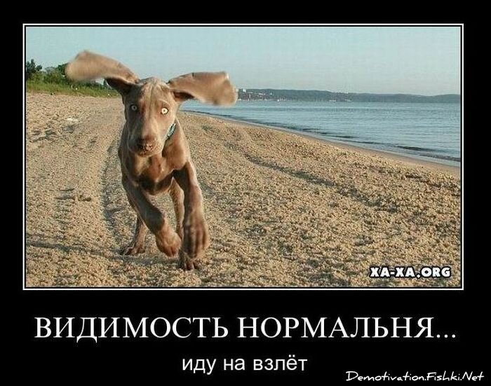 Демотиватор