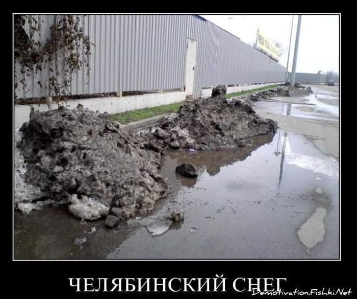 Смешной демотиватор от zubrilov за 22.02.2011 №69375