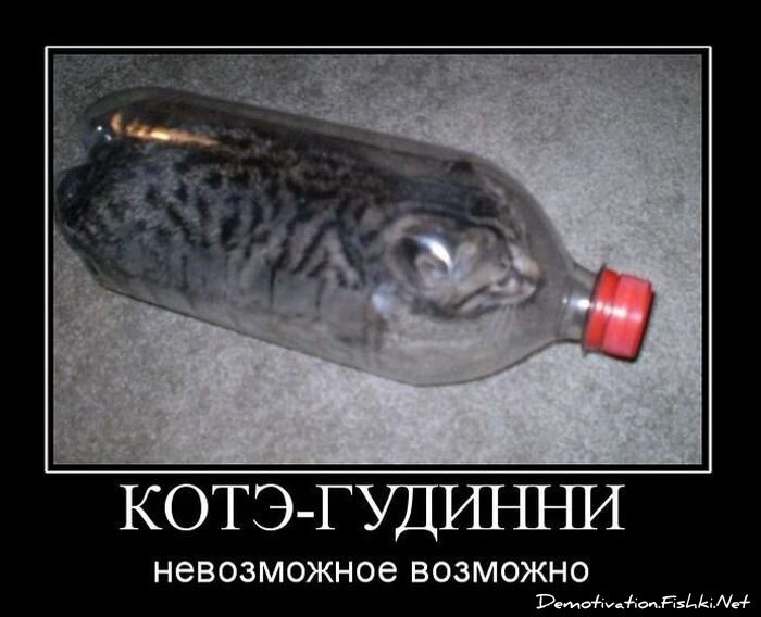 Смешной демотиватор от zubrilov за 22.02.2011 №69383