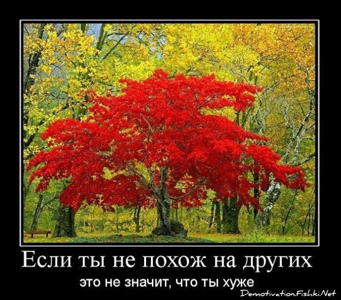 Смешной демотиватор от zubrilov за 22.02.2011 №69395