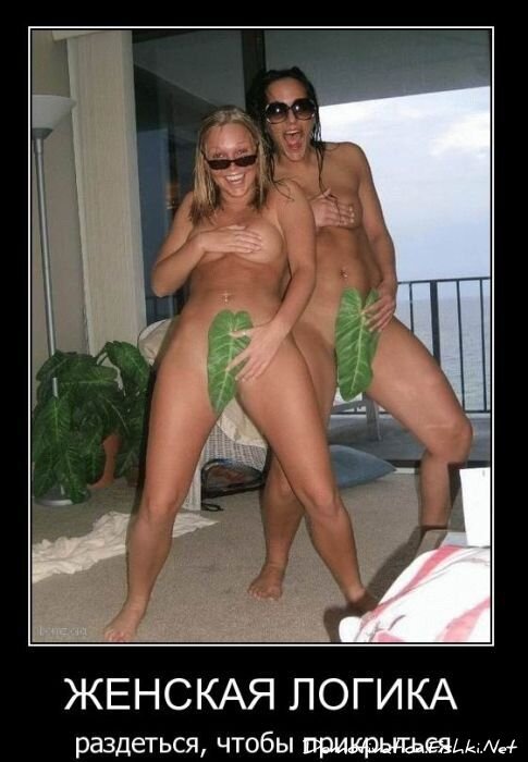 Смешной демотиватор от zubrilov за 02.03.2011 №69909