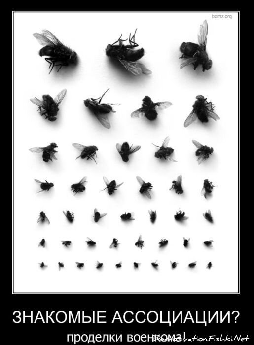 Смешной демотиватор от zubrilov за 02.03.2011 №69921